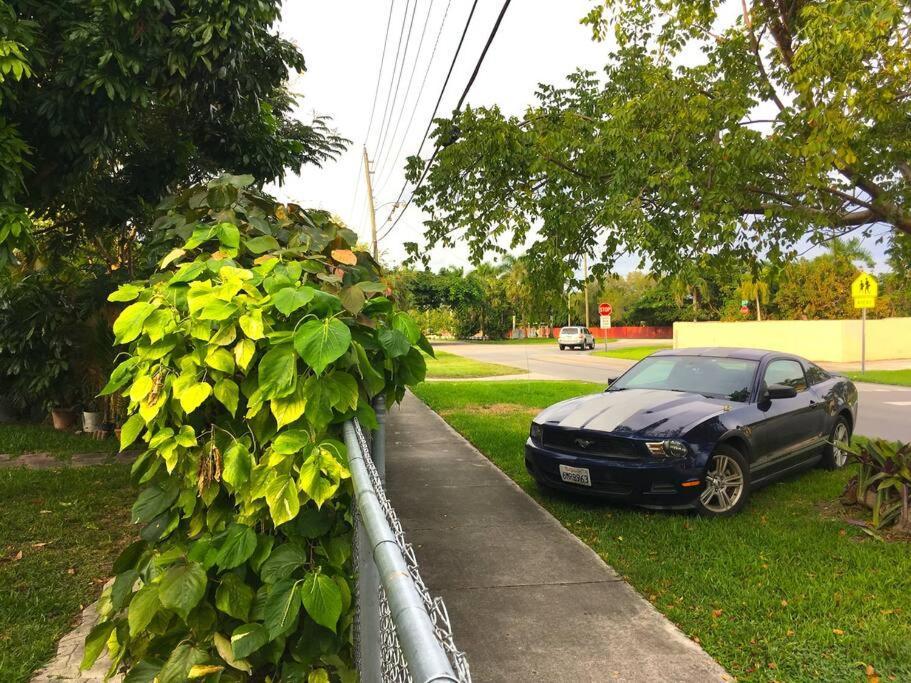 Miami Bungalow Oasis Near Everglades & The Keys Катлер-Бей Екстер'єр фото