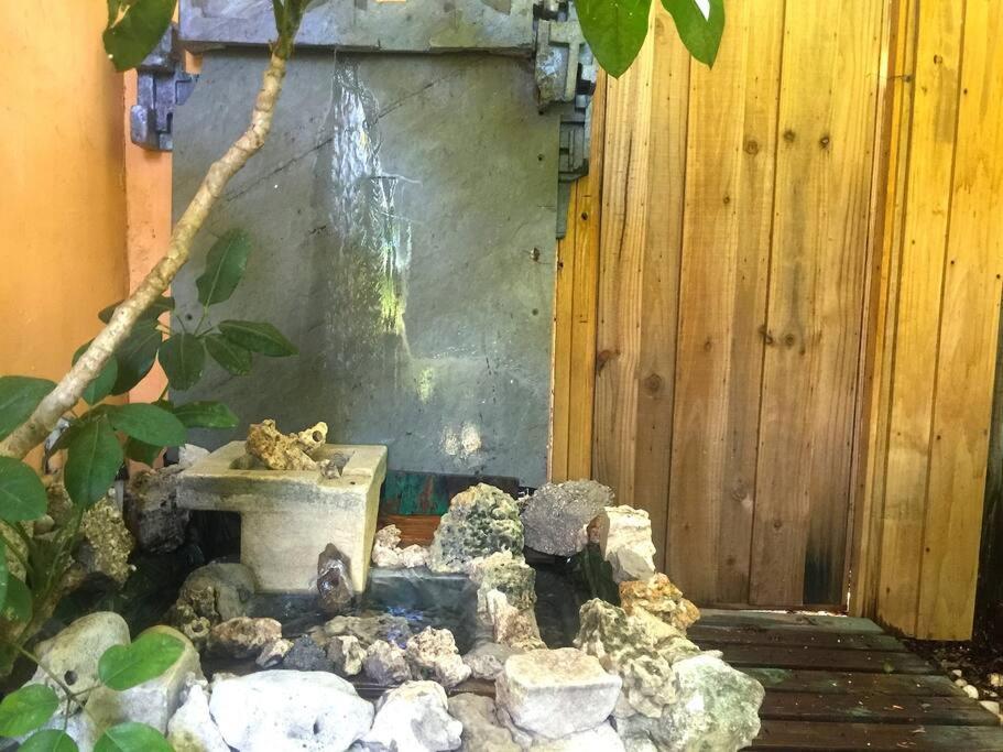 Miami Bungalow Oasis Near Everglades & The Keys Катлер-Бей Екстер'єр фото