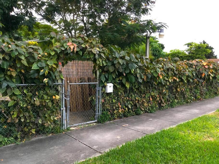 Miami Bungalow Oasis Near Everglades & The Keys Катлер-Бей Екстер'єр фото